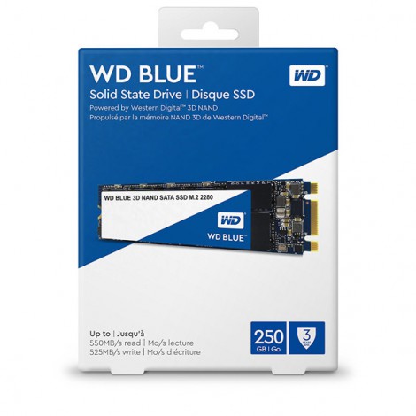 SSD 250GB WDS250G2B0B