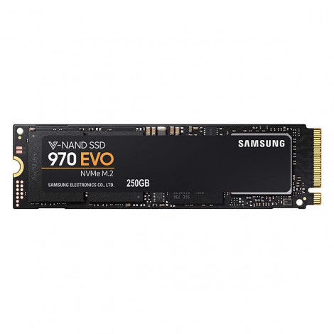 SSD 250GB SAMSUNG 970 EVO PLUS (MZ-V7S250BW)