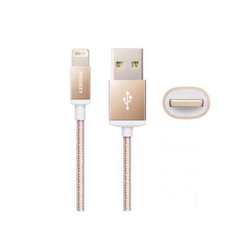 Cable Pisen Lighning sided