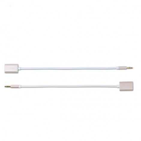 Cable LOA 1->2 REMAX AUX 0.25m RL-S20